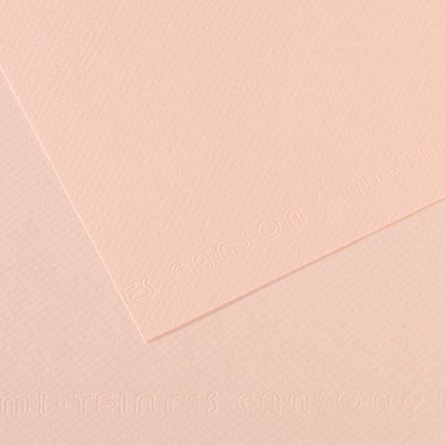 MI-TEINTES 103 DAWN PINK 19X25