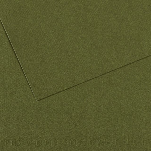 MI-TEINTES 448 IVY 19X25