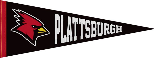 SUNY Plattsburgh 9X24 Full Color Pennant