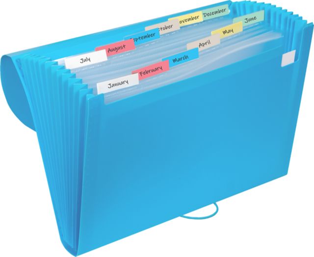 POLY FILE 13PKT EXPANDING ASST