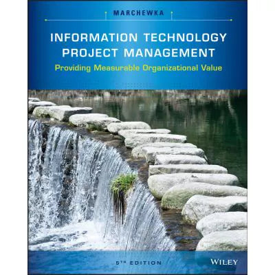 Information Technology Project Management